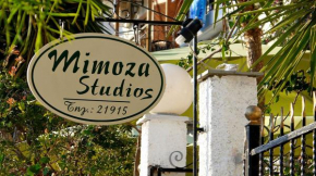  Mimoza Studios  Скиатос